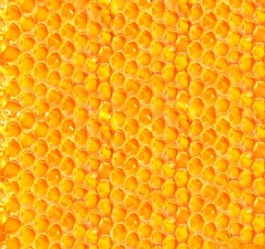 Honeycomb Stock Photos