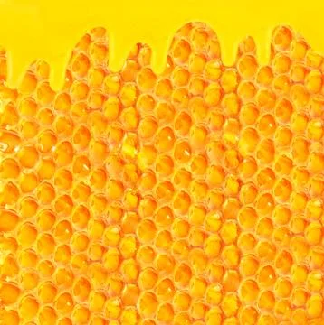 Honeycomb Stock Photos