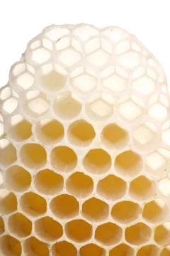Honeycomb Stock Photos