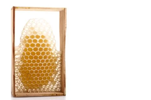 Honeycomb Stock Photos