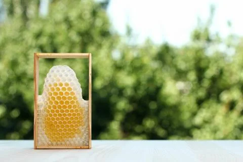Honeycomb Stock Photos