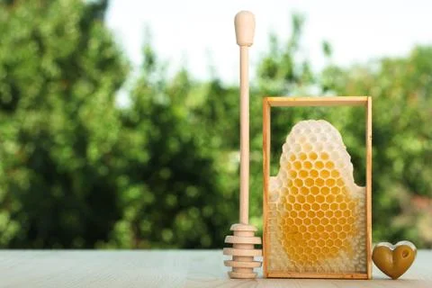 Honeycomb Stock Photos
