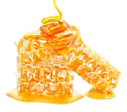 Honeycomb Stock Photos