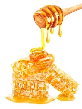 Honeycomb Stock Photos