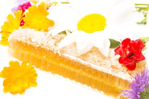 Honeycomb Stock Photos