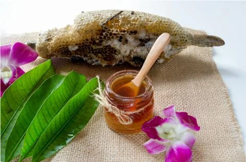Honeycomb Stock Photos