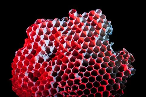 Honeycomb Stock Photos