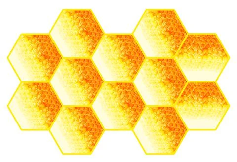 Honeycomb Stock Photos
