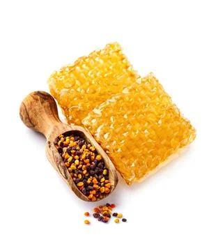 Honeycomb with pollen Foto stock