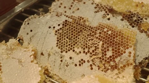 Honeycomb processing in a local apiary on a sunny day Stock Footage 336522775