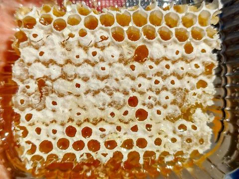Honeycomb - raw, apiculture, macro view Stock Photos
