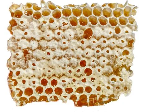 Honeycomb - raw, apiculture, macro view 스톡 사진