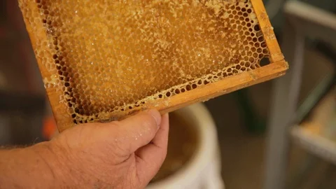 Honeycomb ready for extraction Stock Footage 111993650