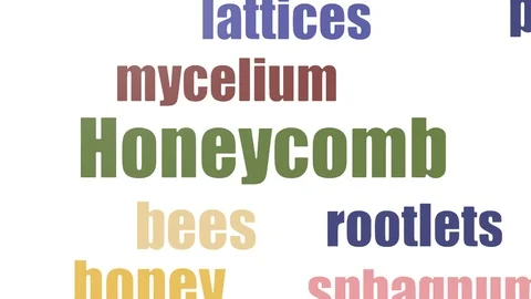 Honeycomb Tagcloud Animated On White Background Vídeos de archivo 107238636
