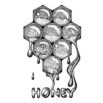 Honeycomb vector illustration 스톡 일러스트