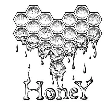 Honeycomb vector illustration 스톡 일러스트