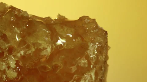 Honeycomb on yellow background Stock Footage 36517361