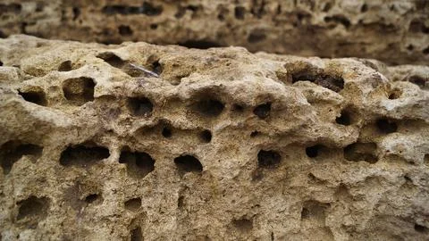 Honeycombed Eroded Rock Formation Stock Photos