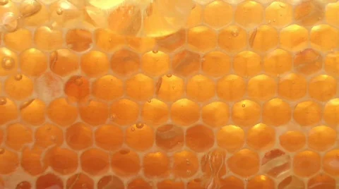 Honeycombs 2 Stock Footage 520260