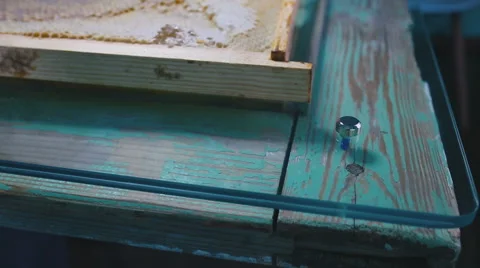 Honeycombs are on the original table. Close-up Stock Footage 58958258