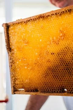 Honeycombs of a Beehive within a Frame Close Up Stock Photos