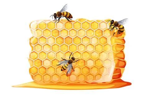 Honeycombs with bees on a white background. Delicious and healthy product. Ve Stock Illustration
