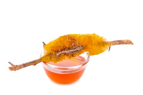 Honeycombs in closeup Stock Photos