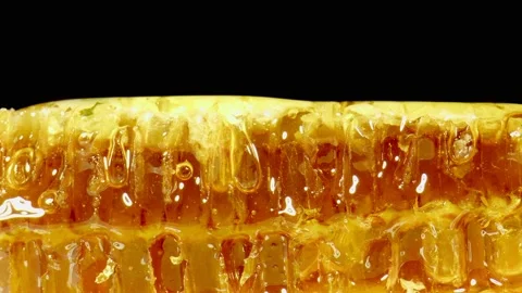 Honeycombs Stock Footage 165310168
