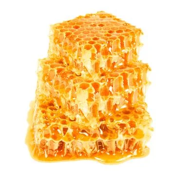Honeycombs isolated Stock Photos