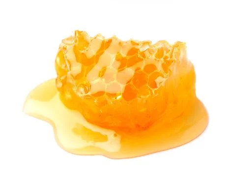 Honeycombs macro. Stock Photos