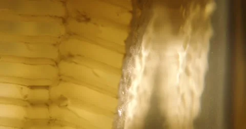 Honeycombs slice in a jar closeup Stock Footage 331341927