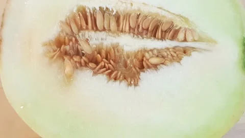 Honeydew melon cut into half and quarter slices. Stock Footage 159830664