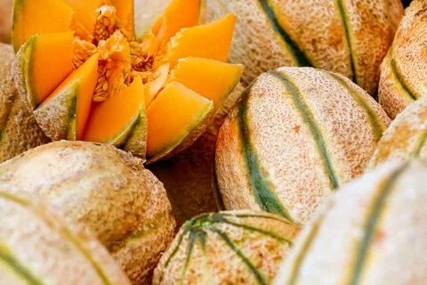 Honeydew melon Stock Photos