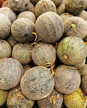 Honeydew melon Stock Photos