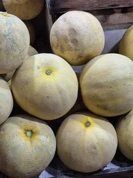 Honeydew melon Stock Photos