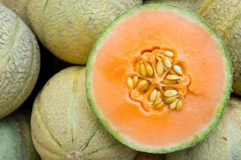 Honeydew melons Stock Photos