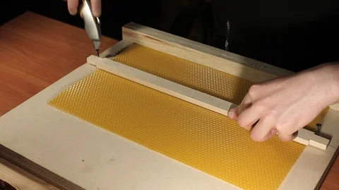 Honeyframe 05 Video stock 128582852