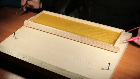 Honeyframe 08 Video stock 128583151