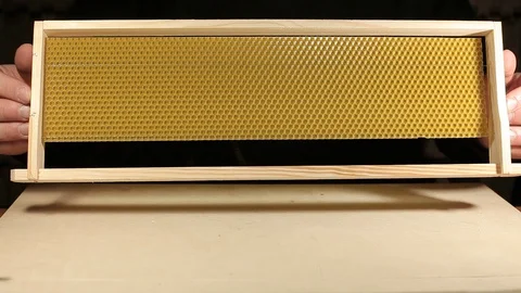 Honeyframe 09 Video stock 128582926