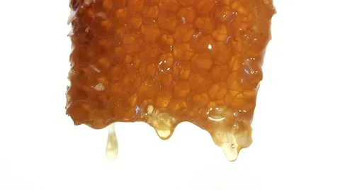 Honey,honeycombs Stock Footage 11702034