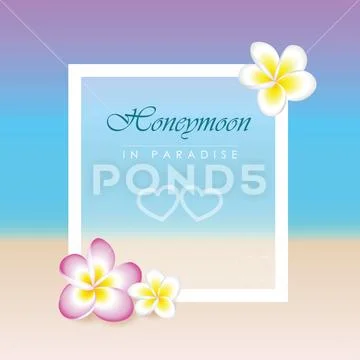 Honeymoon concept frangipani flowers paradise beach holiday Stock Illustration