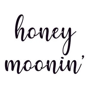Honeymoonin Stock Illustration