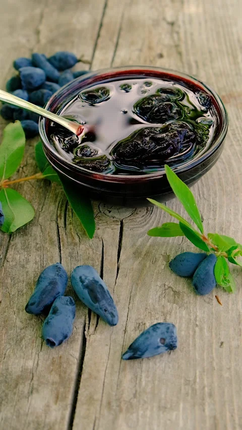 Honeysuckle jam in the garden. Selective focus. Stock Footage 317911713
