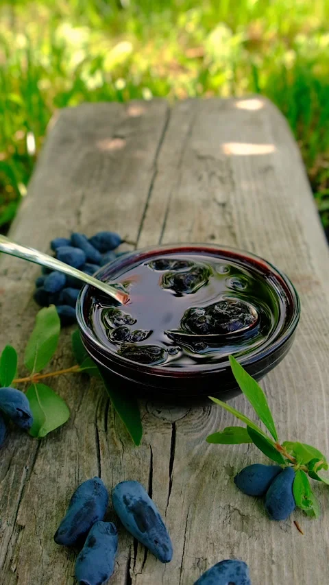 Honeysuckle jam in the garden. Selective focus. Stock Footage 317912024