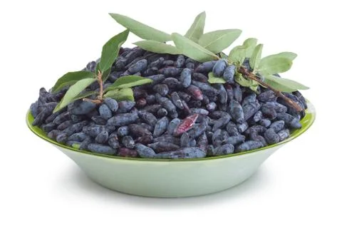 Honeysuckle Foto stock