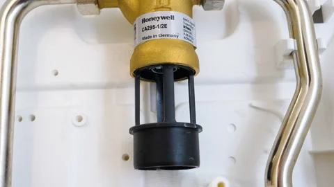 Honeywell Backflow preventer compact construction with threaded connectors, Stock Footage 241193400