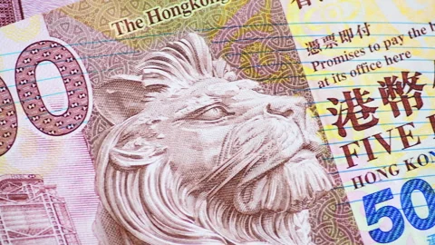 Hong Kong bank notes Stock Footage 312621765