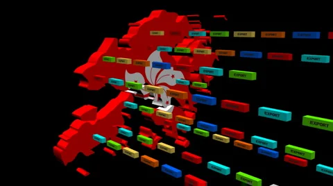 Hong-kong-export-linesC Stock Footage