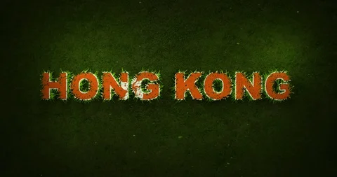 Hong Kong flag is appearing while green grasses are growing in a sports field Stock Footage 101745217