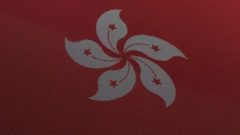 Hong Kong Flag Digital Particle Waving Seamless Loop Animation on Black Bac.. Stock Footage 339302704